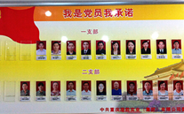 尊时凯龙集团党委开展党员承诺活动